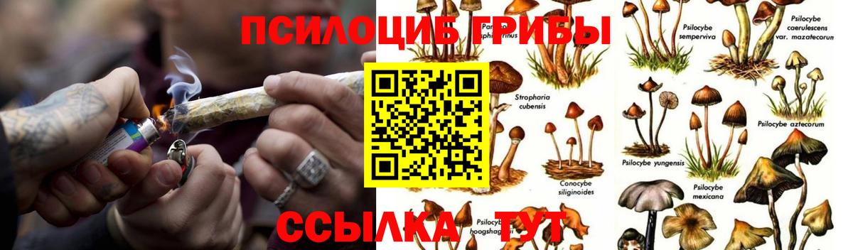 Галлюциногенные грибы прущие грибы  Вход с VPN  Каменка  Псилоцибиновые грибы GOLDEN TEACHER 