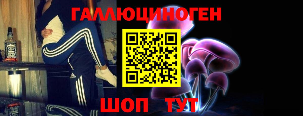 Псилоцибиновые грибы GOLDEN TEACHER Каменка
