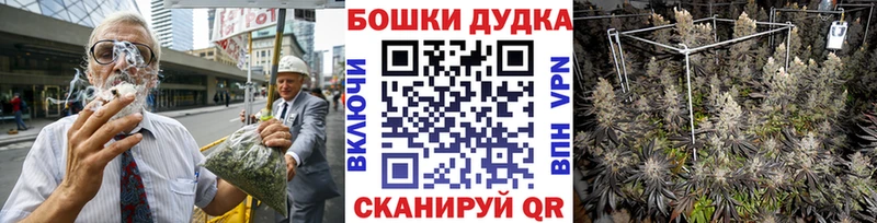 Бошки Шишки Amnesia  Каменка 